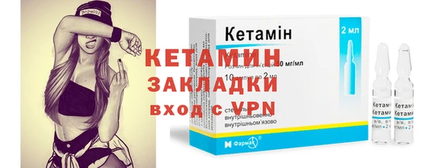 шишки Аркадак