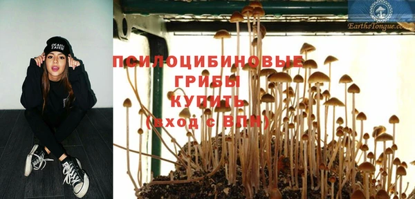 шишки Аркадак