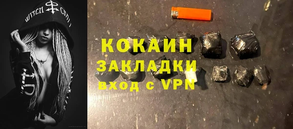 шишки Аркадак