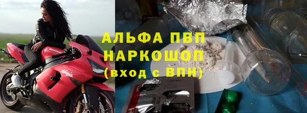 спайс Арсеньев